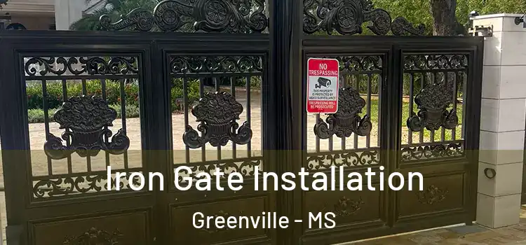 Iron Gate Installation Greenville - MS